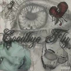 Goodbye Fly - Single by KiLLA YAK album reviews, ratings, credits