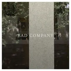 Bad Company - Single by Aardwolves album reviews, ratings, credits