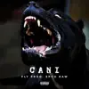Cani - Single album lyrics, reviews, download
