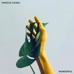 Wonderful - Single by Marcus Young album reviews, ratings, credits