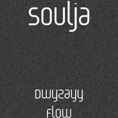 Dwyzayy Flow Song Lyrics