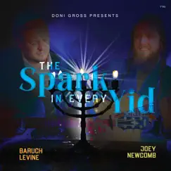 The Spark In Every Yid - Single by Joey Newcomb & Baruch Levine album reviews, ratings, credits