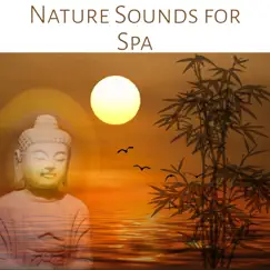 Nature Sounds for Spa: Relaxing Ambiences for Wellness, Massage and Reiki, New Age Music for Yoga, Meditation & Healing by Pure Spa Massage Music album reviews, ratings, credits
