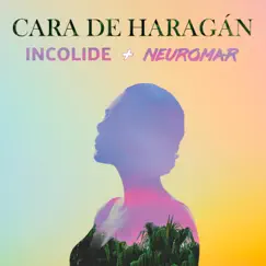 Cara de Haragán (feat. Neuromar) Song Lyrics