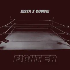 Fighter Song Lyrics