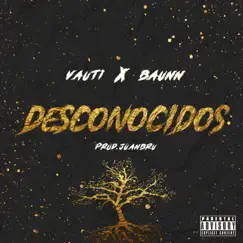 Desconocidos (feat. Vauti) Song Lyrics