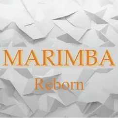 Reborn - Single by Marimba album reviews, ratings, credits