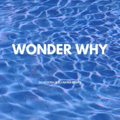 Wonder Why (feat. Adam Bomb) [Quackish & DJ Nana remix] Song Lyrics