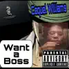 Want a Boss - Single album lyrics, reviews, download