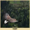 Flight - Single album lyrics, reviews, download