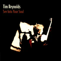 See into Your Soul by Tim Reynolds album reviews, ratings, credits