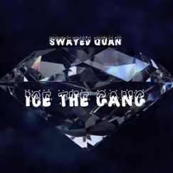 Ice the Gang - Single by Swayed Quan album reviews, ratings, credits