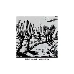 Alles Stil - Single by Ricky Koole album reviews, ratings, credits
