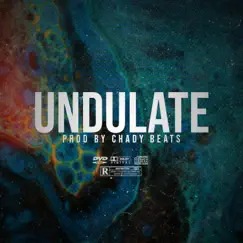 Undulate Song Lyrics