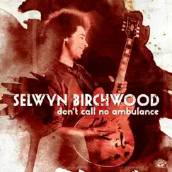 Don't Call No Ambulance by Selwyn Birchwood album reviews, ratings, credits