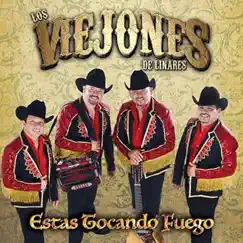 Estas Tocando Fuego by Los Viejones De Linares album reviews, ratings, credits