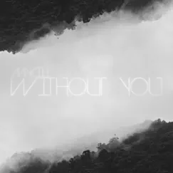 Without You (Instrumental) Song Lyrics