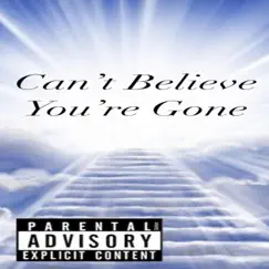 Can't Believe You're Gone Song Lyrics