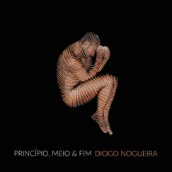 Princípio, Meio e Fim - Single by Diogo Nogueira album reviews, ratings, credits