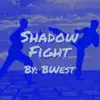 Shadow Fight - Single album lyrics, reviews, download