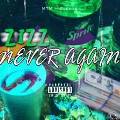 Never Again - Single by Zizzmtm album reviews, ratings, credits