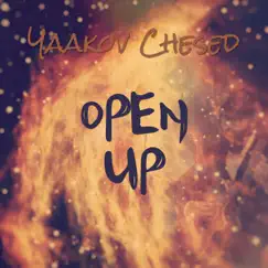 Open Up - Single by Yaakov Chesed album reviews, ratings, credits