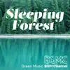 Sleeping Forest album lyrics, reviews, download