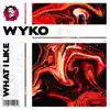 What I Like - Single album lyrics, reviews, download