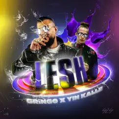 LESH - Single by GRiNGO & Yin Kalle album reviews, ratings, credits