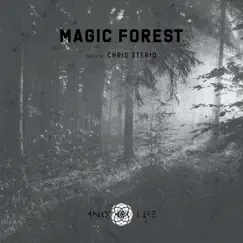 Magic Forest (DJ Mix) by Chris Sterio & Another Life Music album reviews, ratings, credits