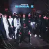binga 2 - Single album lyrics, reviews, download