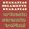 Guaranias Solamente Guaranias album lyrics, reviews, download