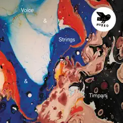 Swarming Strings Made Out Of Light (feat. Mari Kvien Brunvoll, Eva Pfitzenmaier, Stein Urheim & Kim Åge Furuhaug) Song Lyrics