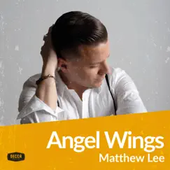 Angel Wings - Single by Matthew Lee album reviews, ratings, credits
