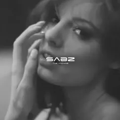 Now I'm Wondering - Single by Sabz the Machine album reviews, ratings, credits