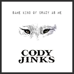 Same Kind of Crazy as Me - Single by Cody Jinks album reviews, ratings, credits