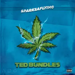 Ted Bundles - Single by Sparksaflying album reviews, ratings, credits