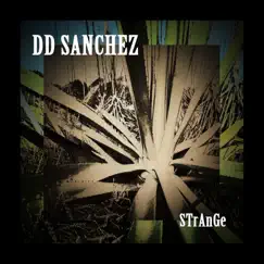 Shine the Light (feat. Sanchez) [Bonus Track] Song Lyrics