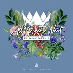 All I Really Want (feat. Nikki Mathis) [Reprise] Song Lyrics