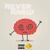 Never Knew - Single album lyrics, reviews, download