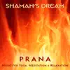 Prana: Music for Yoga, Meditation & Relaxation by Shaman's Dream album lyrics