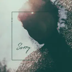 Sorry - Single by Ahmet Kilic album reviews, ratings, credits