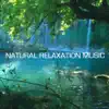 Natural Relaxation Music album lyrics, reviews, download