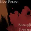 Raccogli l’Attimo - Single album lyrics, reviews, download