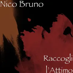 Raccogli l’Attimo - Single by Nico Bruno album reviews, ratings, credits