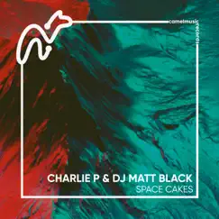 Space Cakes - Single by Charlie P & Dj Matt Black album reviews, ratings, credits