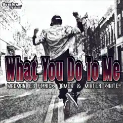 What You Do to Me (feat. Rick James & Mister White) Song Lyrics