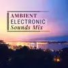 Ambient Electronic Sounds Mix - 26 Collection album lyrics, reviews, download