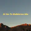 Si No Te Hubieras Ido (Cover) - Single album lyrics, reviews, download