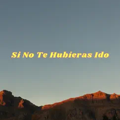 Si No Te Hubieras Ido (Cover) Song Lyrics